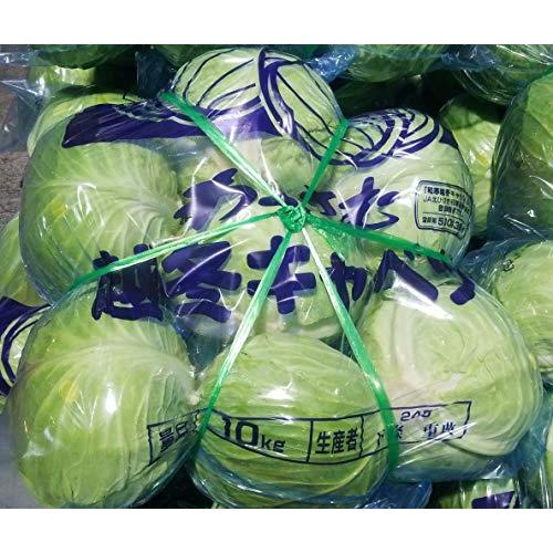 キャベツ 北海道産 １０ｋｇ以上 ３玉〜１２玉入り 越冬 きゃべつ 雪ノ下 和寒 剣淵 グルメ 野菜