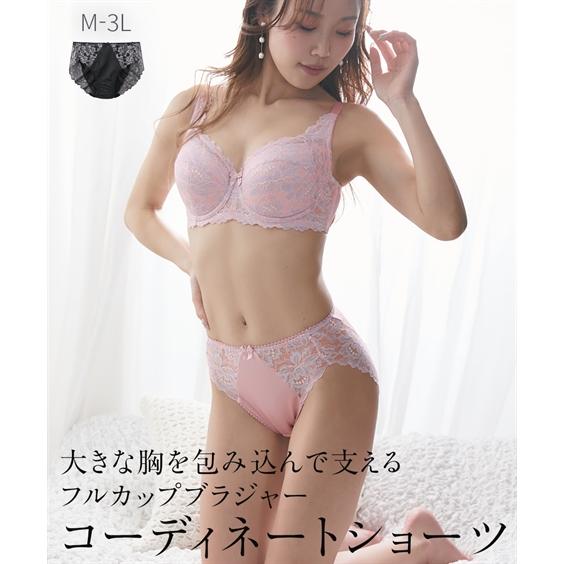 ショーツ M L LL 3L 大きいサイズ ニッセン 【大きい胸】 フルカップブラジャー コーディネ...