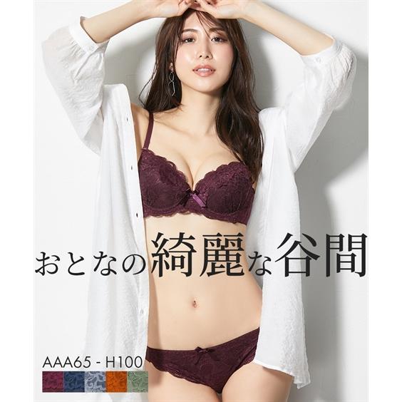 ブラショーツ ダークカラー フロント 総レース ブラジャー ショーツ セット ニッセン ブラ ブラセ...