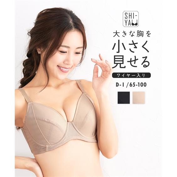 ブラジャー (D85-I80) 大きいサイズ 小胸メイクブラジャー チイサクシヤ ニッセン 女性 下...