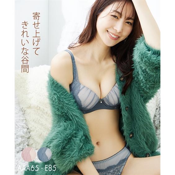 ブラジャーショーツセット ニッセン チュールレース ブラジャー ショーツ セット 女性 下着 レディ...