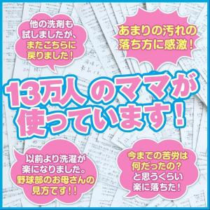 【送料無料】【2.6kg詰替】泥スッキリ303...の詳細画像3