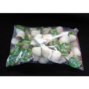 フジコン製　高タンパク乳酸ゼリー　１６ｇ　１００個入りパック