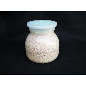 菌糸ボトルＹＳＯ−ＰＰ４４０ｍｌ  カワラタケ（クヌギ１００％・二次発菌）