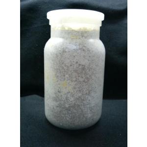 ＹＳＯシリーズ！カワラ菌糸ボトルＹＳＯ−ＰＰ１１００ｍｌ