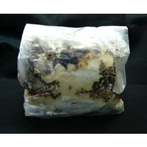 カワラ菌床材（産卵木）　Ｌサイズ　１本入り