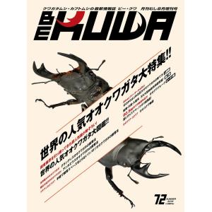 BE-KUWA 72号（）　ビークワ72号　　ポイント8倍