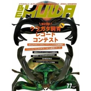 BE-KUWA 77号（）　ビークワ77号　　ポイント8倍