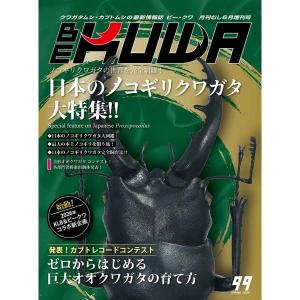 BE-KUWA 99号（メール便送料込み）　ビークワ９９号　　★ポイント7倍★