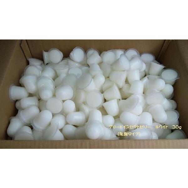 ブリード　インセクトゼリー（ハイグレードタイプ）３０ｇホワイト　小分け２５個