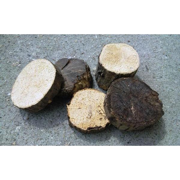 転倒防止や隠れ木などに（産卵材の端材）5〜6個セット