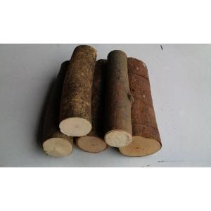 止まり木(転倒防止材）ミニサイズ　直径20ミリ以下（長さ約120ミリ）