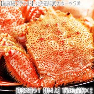 毛ガニ 北海道 雄武産(大型)480g前後×2尾(北海道産 ...