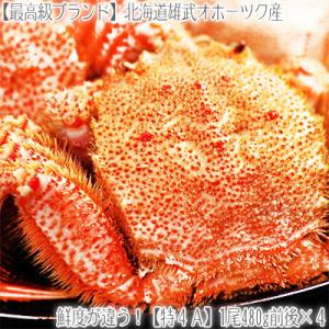 毛ガニ 北海道 雄武産(大型)480g前後×5尾(北海道産 ...