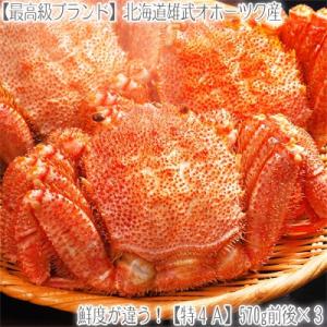 毛ガニ 北海道 雄武産(特大)570g前後×3尾(北海道産 ...