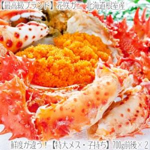 （ 花咲ガニ）北海道根室産（子持ち メス）700g前後×2尾（最高級