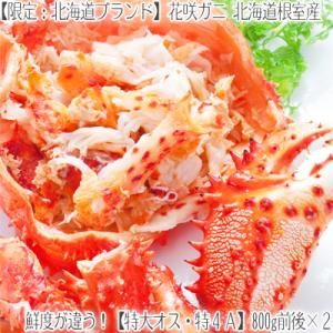 （ 花咲ガニ）北海道根室産（特大 オス）800g前後×2尾（最高級