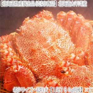 毛ガニ 北海道産(超特大)750g前後×2尾(北海道 太平洋...