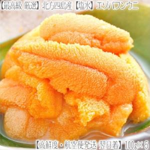 （ 塩水ウニ）北方四島産 生エゾバフンウニ 500g（100g×5