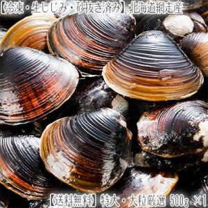 （送料無料 しじみ 北海道産）特大 生冷凍 500g（50粒前後×1）（砂抜き済み）網走産はシジミエキスが濃厚！（北海道ブランド 殻付き貝 大和しじみ 網走湖産）