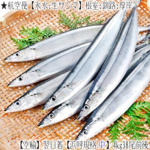 （ 生サンマ 北海道産）根室 釧路（特大 浜呼び名）2kg前後14尾前後（獲れたて