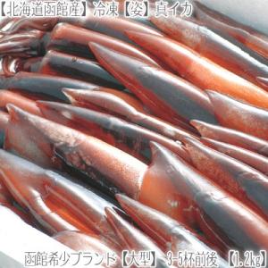 （送料無料 生イカ 北海道産）函館産 特大 スルメイカ （3-5杯）1.2kg（獲れたて するめいか 冷凍生いか お刺身 塩辛 いか焼き 肝醤油 船上急速冷凍）