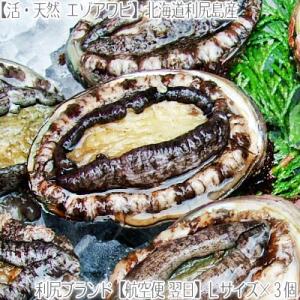 （ アワビ あわび 北海道）利尻島産 天然 活 エゾアワビ