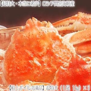 ズワイガニ 超特大 姿 1kg前後 3尾 北海道直送 最高級 ボイル済 ロシア間宮産 大きいです 甘い蟹身 濃厚な蟹味噌は絶品 高評価ありがとうございます Viaprodesarrollo Edu Py Index Php