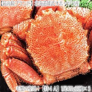 毛ガニ 北海道 雄武産(大型)420g前後×3尾 (北海道産...