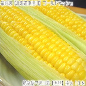 北海道産 ゴールドラッシュ 大粒 2L 10本(北海道 トウ...