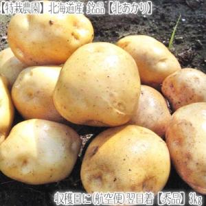 (じゃがいも ジャガイモ) 北海道産 きたあかり L 3kg...
