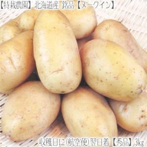 (じゃがいも ジャガイモ) 北海道産 メークイン L 3kg...