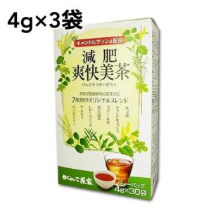 がんこ茶家 減肥爽快美茶 4g × 30袋 キャンドルブッシュ