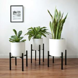 フラワースタンド 観葉植物 屋内 屋外 植物 ...の詳細画像1