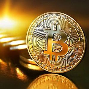 ビットコイン Bitcoin ゴルフマーカー ...の詳細画像1