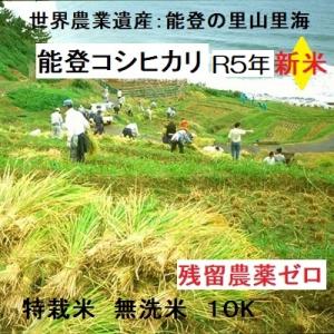 無洗米 令和５年新米 コシヒカリ：残留農薬ゼロ(検査証明書付) 5k×2 特別栽培棚田米 能登里山の米｜dotg-live