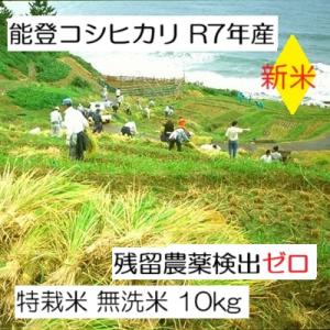 新米 無洗米 能登コシヒカリ 令和7年産:残留農...の商品画像