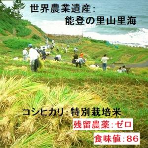 新米 無洗米 能登コシヒカリ 令和7年産:残留...の詳細画像1