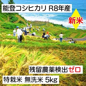 新米 無洗米 能登コシヒカリ 令和8年産:残留農...の商品画像