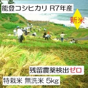 新米　無洗米 コシヒカリ 令和７年産：残留農薬検出ゼロ(検査証明書付) 5kg 特別栽培棚田米 能登...