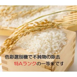 新米 無洗米 能登コシヒカリ 令和7年産 :残...の詳細画像3