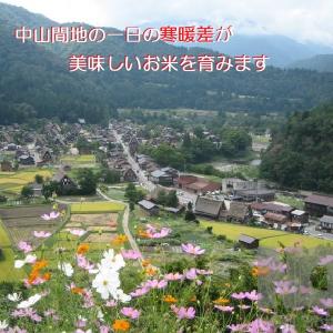 新米 無洗米 能登コシヒカリ 令和7年産 :残...の詳細画像5