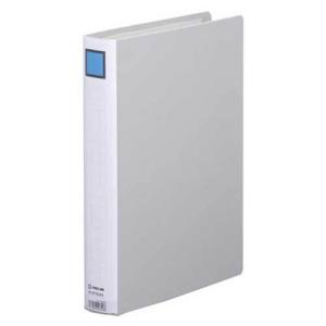 KING JIM（キングジム） キングファイル スーパードッチ（脱・着