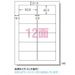 ●エーワン　パソコンプリンタ＆ワープロラベルシール〈プリンタ兼用〉　マット紙（Ａ４判）　２０枚入　規格：Ａ４判１２面