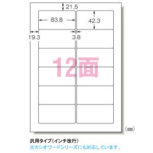 ●エーワン　パソコンプリンタ＆ワープロラベルシール〈プリンタ兼用〉　マット紙（Ａ４判）　１００枚入　規格：Ａ４判１２面