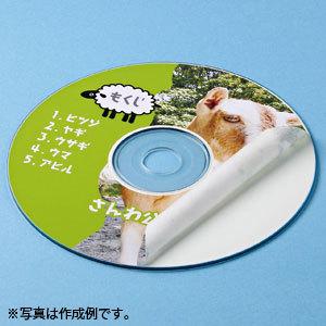 サンワサプライ　インクジェットＤＶＤ／ＣＤラベル　内径４１ｍｍ・つやなしマット・１００ラベル