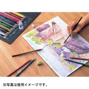 サクラクレパス 水彩色鉛筆24色 24色セットの詳細画像2