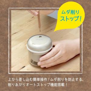 ソニック リビガク フリーキー 乾電池式電動鉛...の詳細画像2