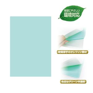 共栄プラスチック 硬筆用ソフト透明下敷 下敷き したじき A4判（クリア