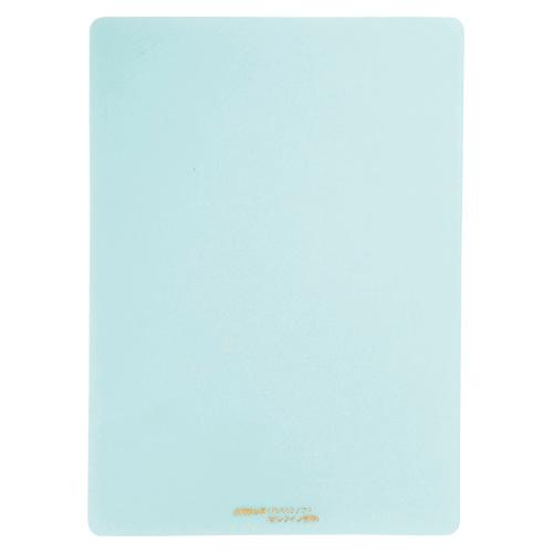 共栄プラスチック　硬筆用ソフト透明下敷 下敷き　B5判（クリアマットグリーン）